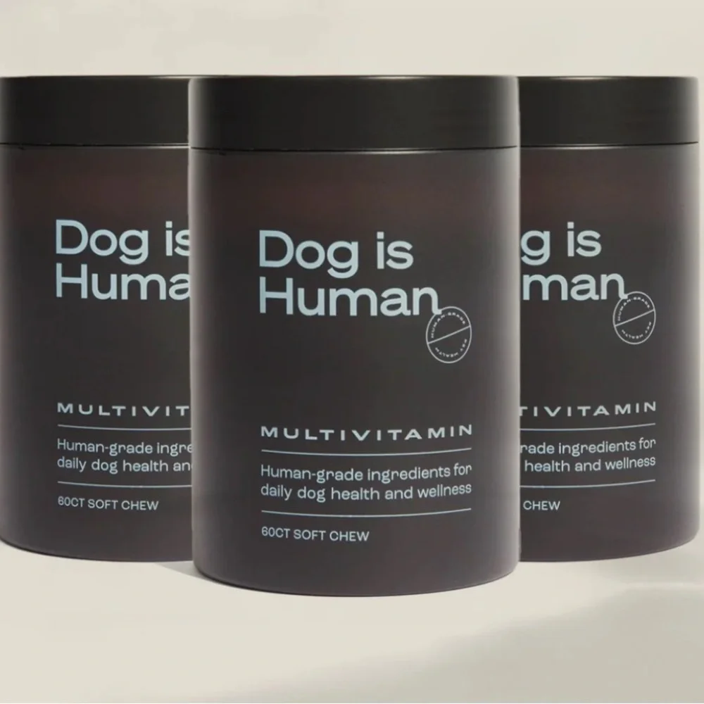 ๐คDog Is Human Multi X3 Bundle๐ค - Picture 1 of 5